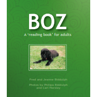 Boz: A 'reading book' for adults